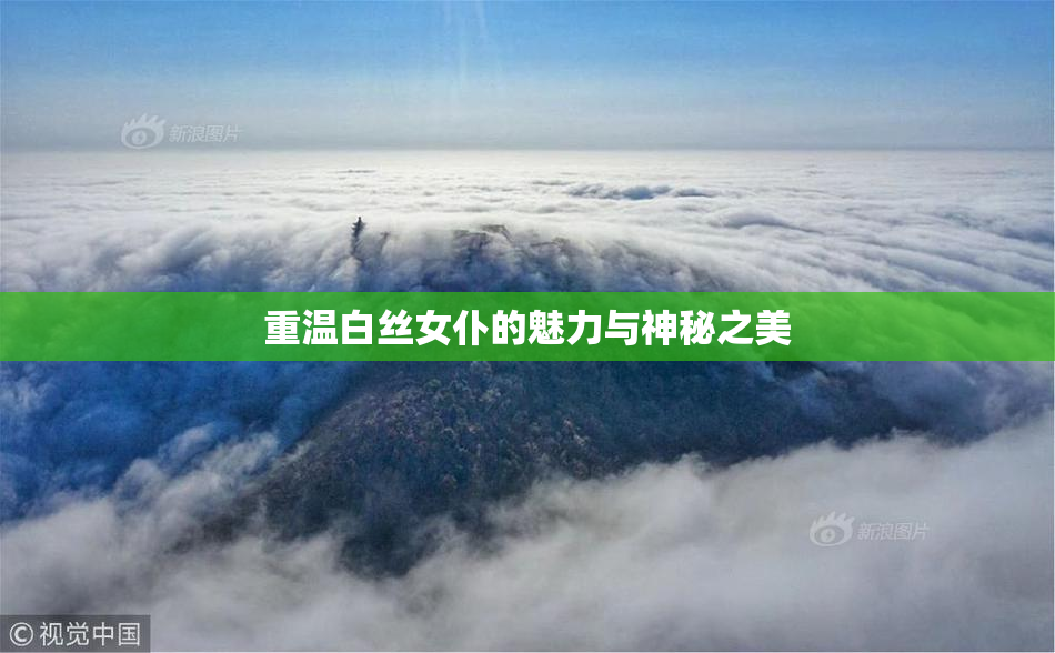 重温白丝女仆的魅力与神秘之美