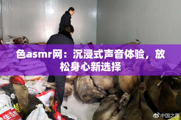 色asmr网：沉浸式声音体验，放松身心新选择
