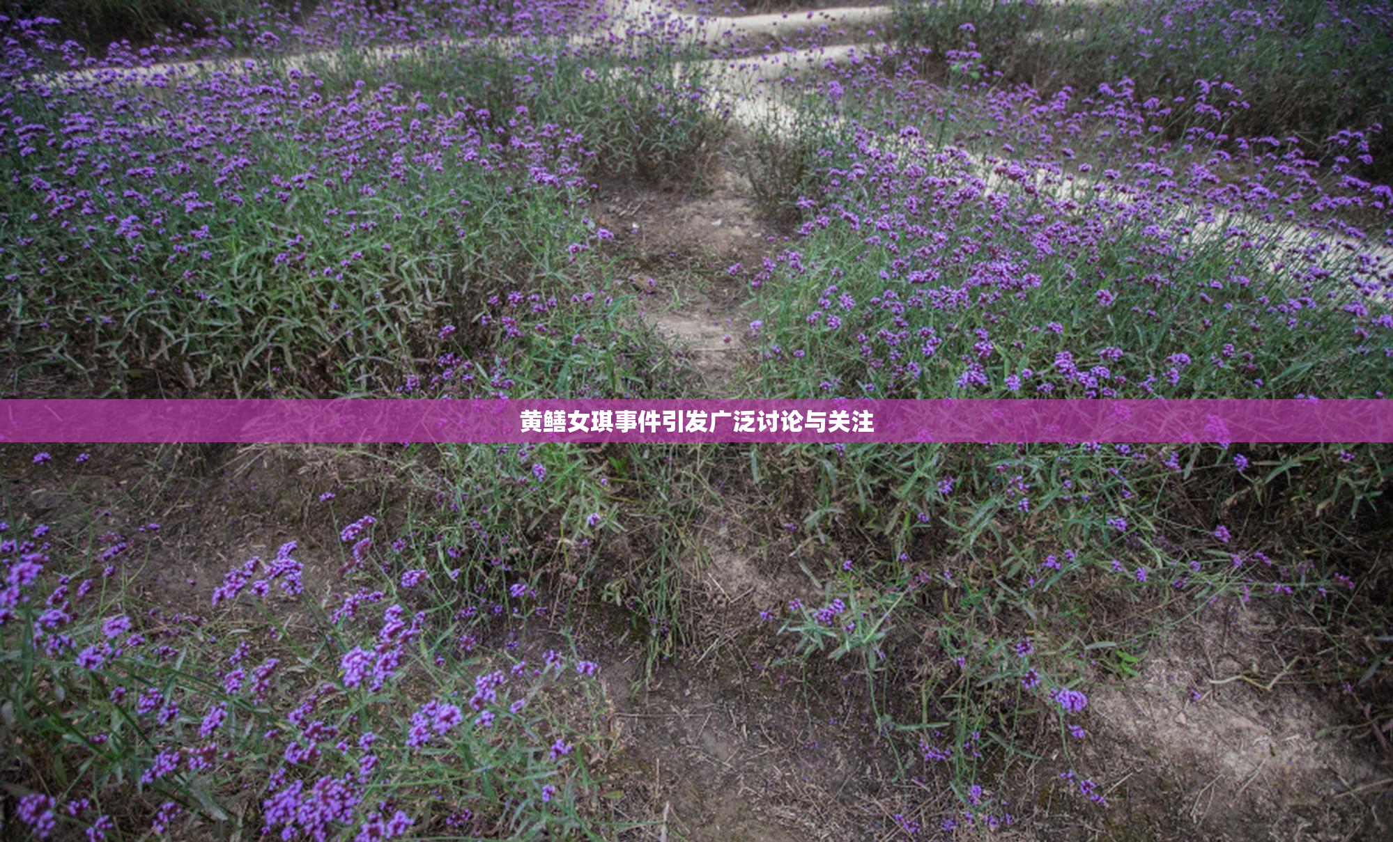 黄鳝女琪事件引发广泛讨论与关注
