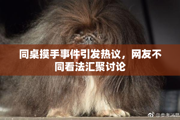 同桌摸手事件引发热议，网友不同看法汇聚讨论