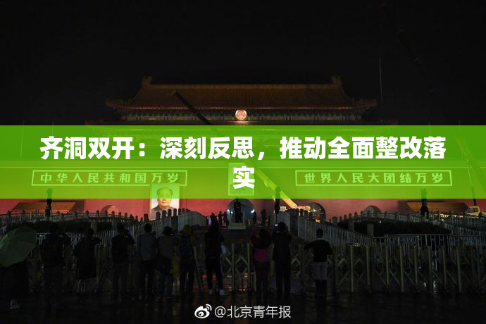 齐洞双开：深刻反思，推动全面整改落实