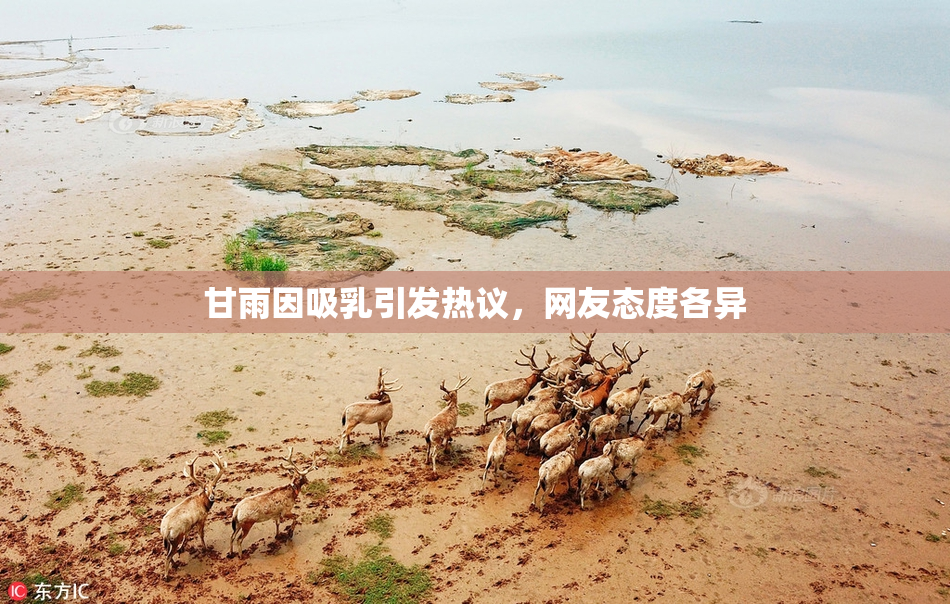 甘雨因吸乳引发热议，网友态度各异