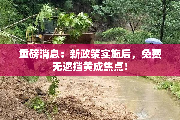 重磅消息：新政策实施后，免费无遮挡黄成焦点！
