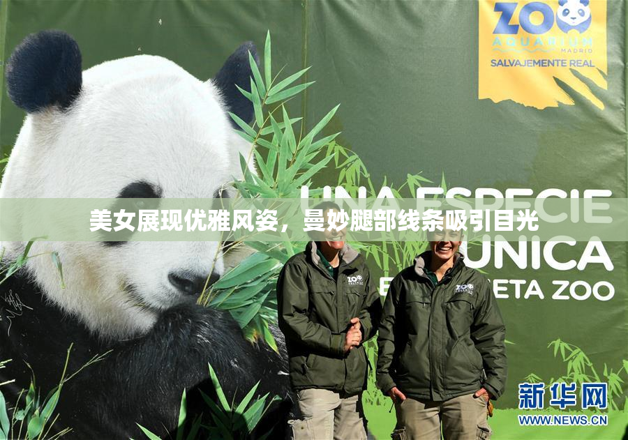 美女展现优雅风姿，曼妙腿部线条吸引目光