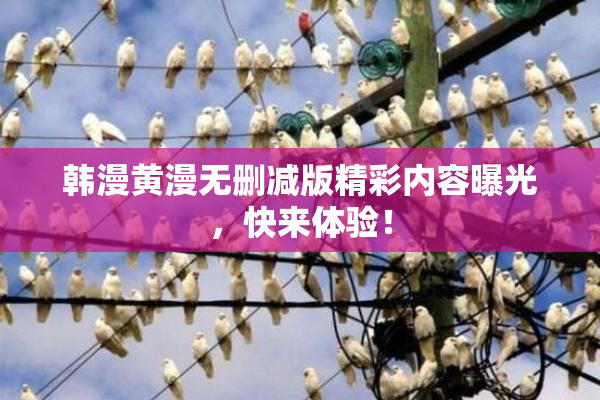韩漫黄漫无删减版精彩内容曝光，快来体验！