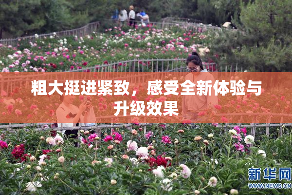 粗大挺进紧致，感受全新体验与升级效果