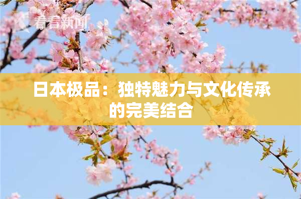 日本极品：独特魅力与文化传承的完美结合