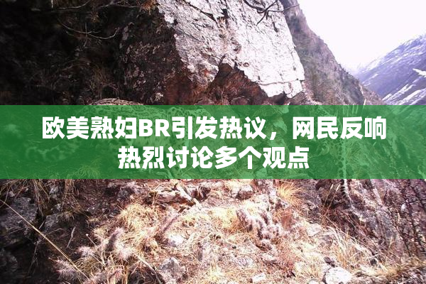 欧美熟妇BR引发热议，网民反响热烈讨论多个观点