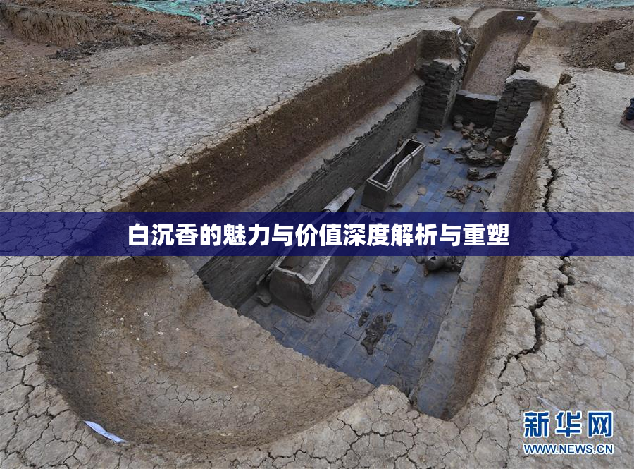 白沉香的魅力与价值深度解析与重塑