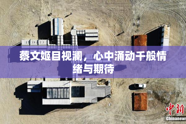 蔡文姬目视澜，心中涌动千般情绪与期待