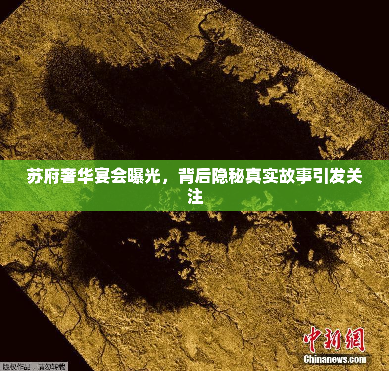 苏府奢华宴会曝光，背后隐秘真实故事引发关注