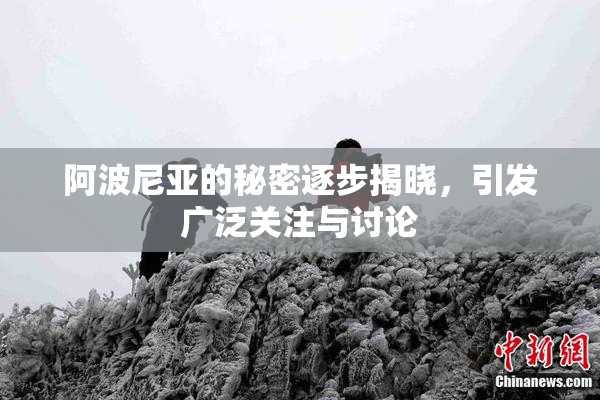 阿波尼亚的秘密逐步揭晓，引发广泛关注与讨论