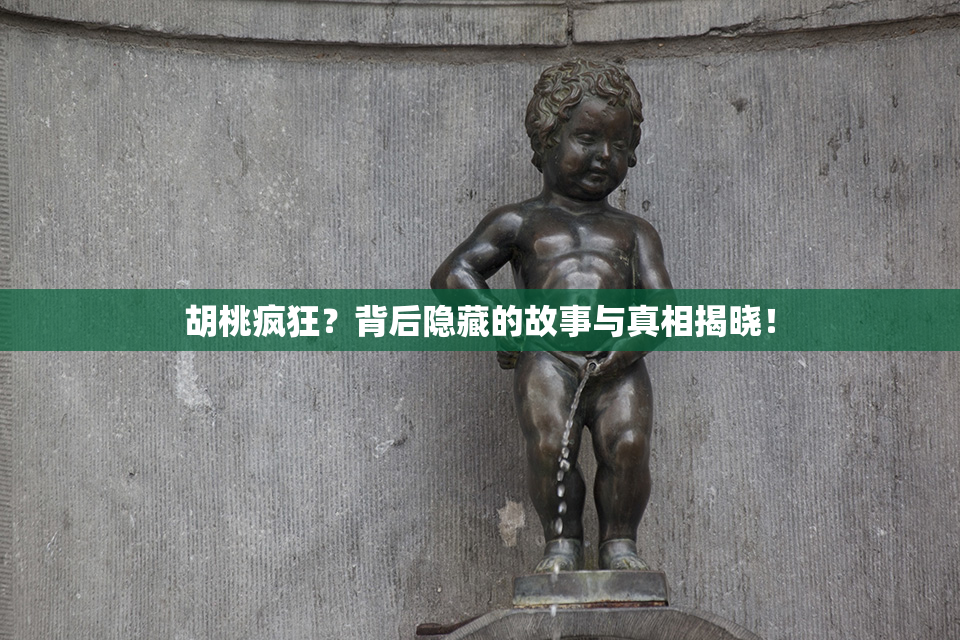 胡桃疯狂？背后隐藏的故事与真相揭晓！