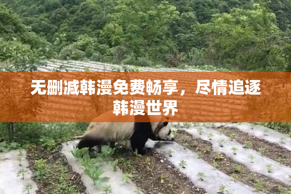 无删减韩漫免费畅享，尽情追逐韩漫世界