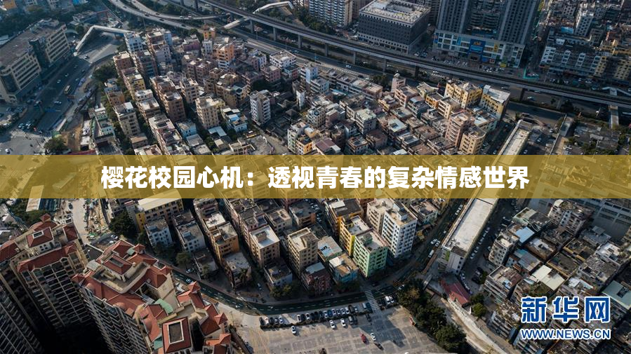 樱花校园心机：透视青春的复杂情感世界