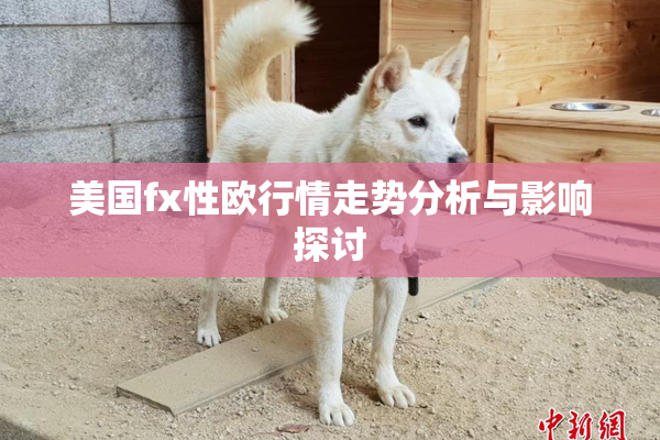 美国fx性欧行情走势分析与影响探讨