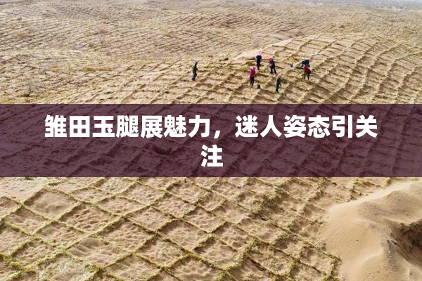 雏田玉腿展魅力，迷人姿态引关注