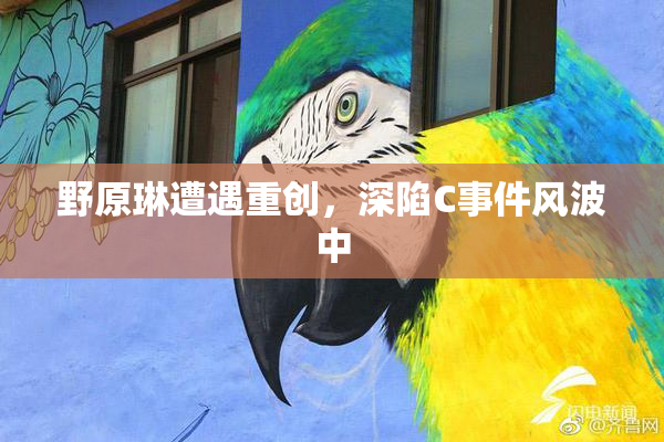 野原琳遭遇重创，深陷C事件风波中