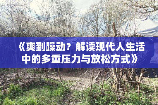 《爽到躁动？解读现代人生活中的多重压力与放松方式》