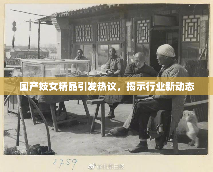 国产妓女精品引发热议，揭示行业新动态