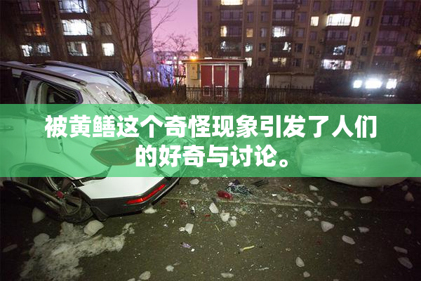 被黄鳝这个奇怪现象引发了人们的好奇与讨论。