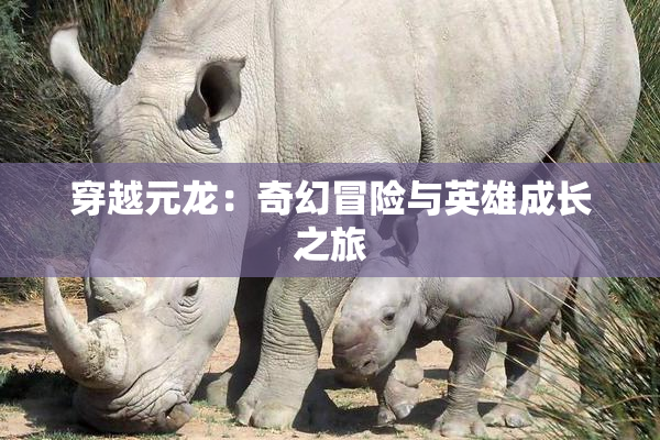 穿越元龙：奇幻冒险与英雄成长之旅