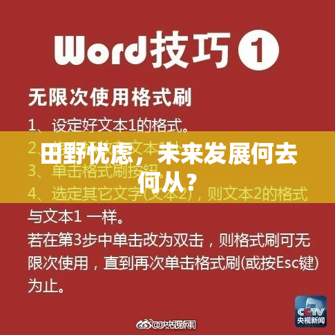 田野忧虑，未来发展何去何从？