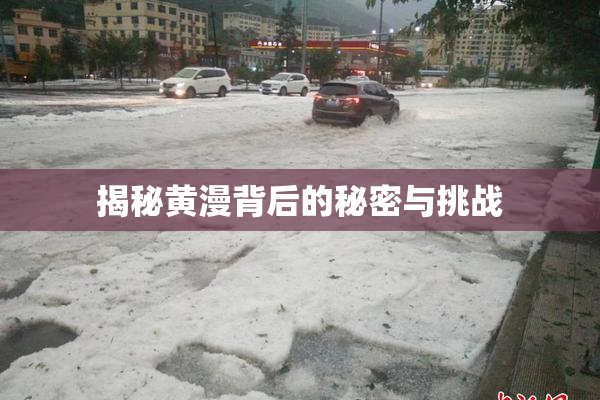 揭秘黄漫背后的秘密与挑战