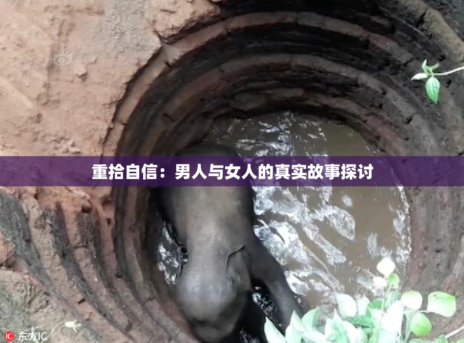 重拾自信：男人与女人的真实故事探讨