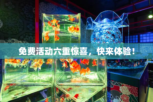 免费活动六重惊喜，快来体验！