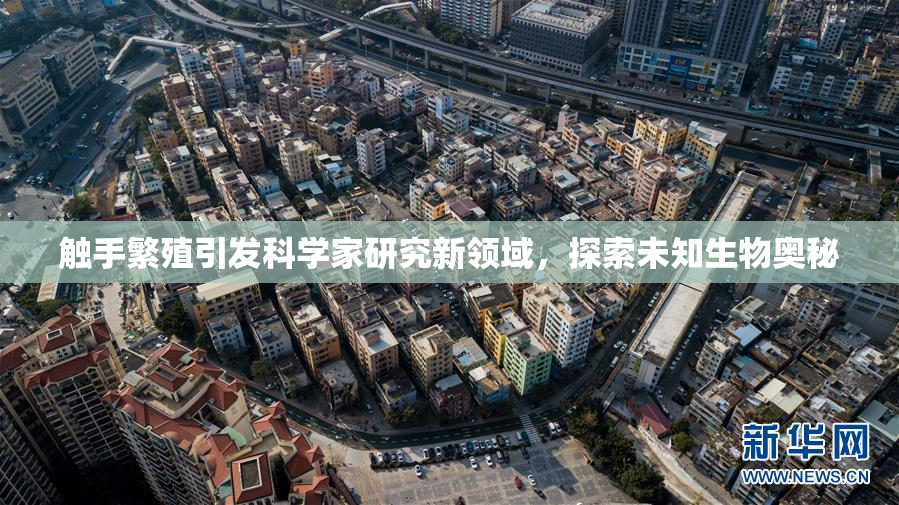 触手繁殖引发科学家研究新领域，探索未知生物奥秘