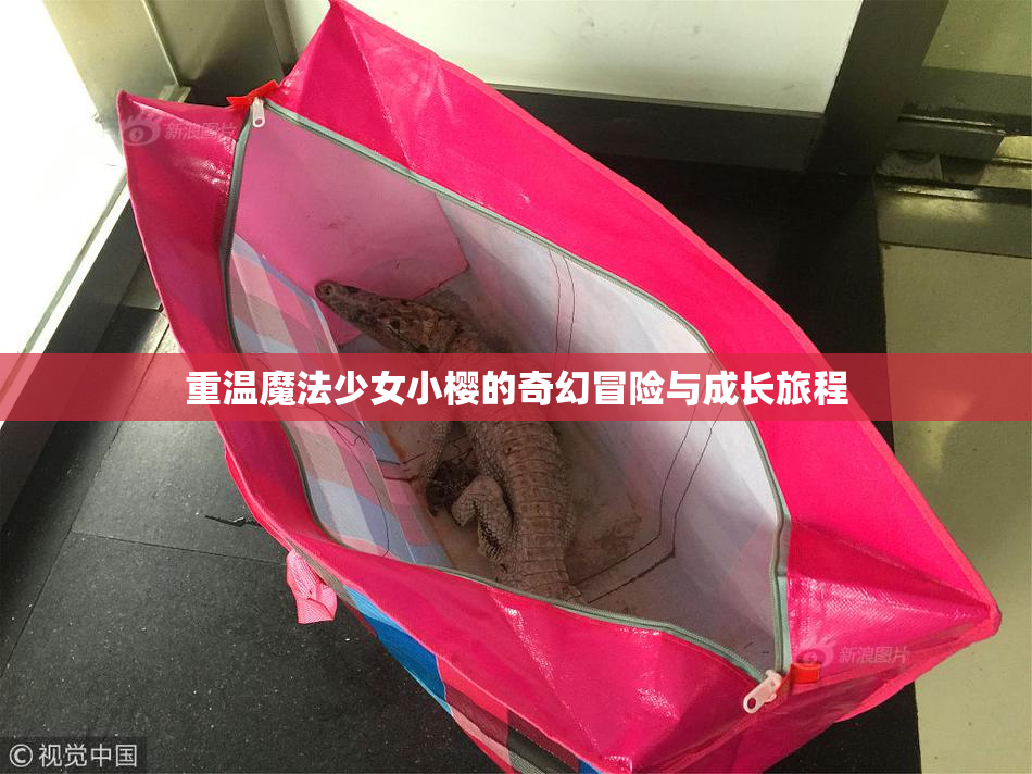 重温魔法少女小樱的奇幻冒险与成长旅程