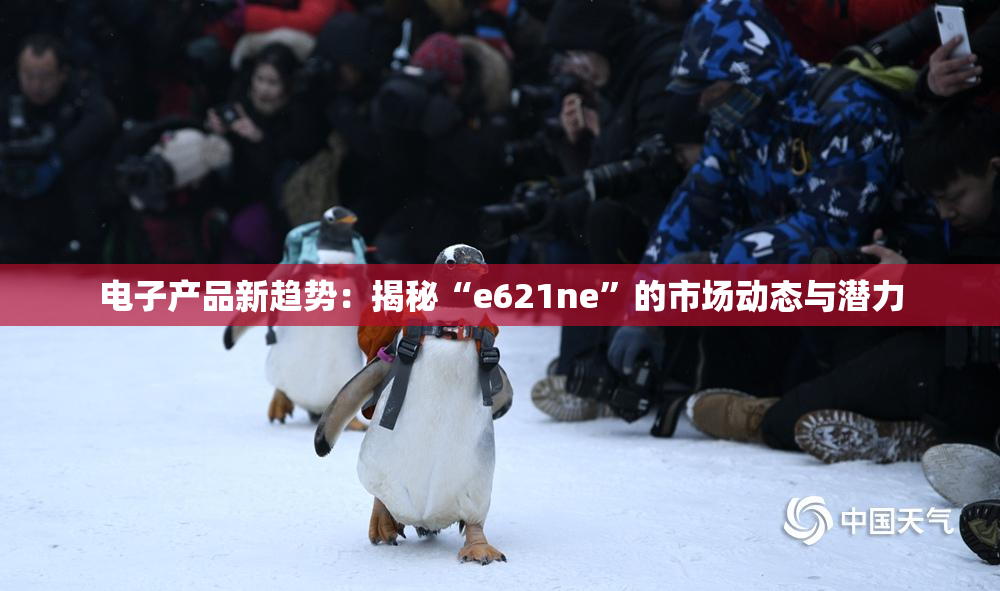 电子产品新趋势：揭秘“e621ne”的市场动态与潜力