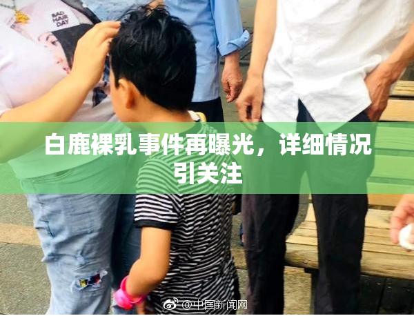 白鹿裸乳事件再曝光，详细情况引关注