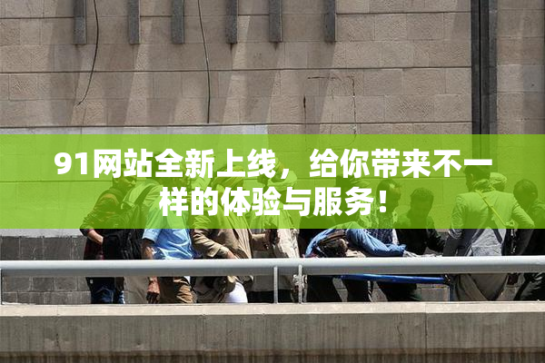 91网站全新上线，给你带来不一样的体验与服务！