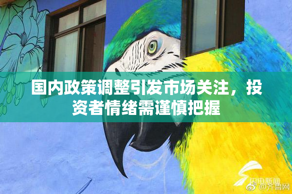 国内政策调整引发市场关注，投资者情绪需谨慎把握