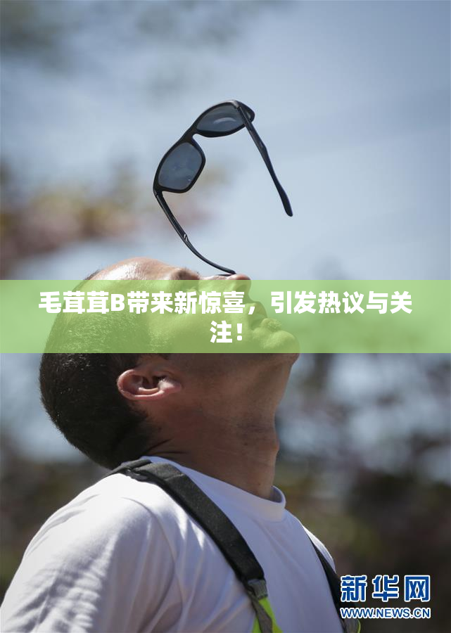 毛茸茸B带来新惊喜，引发热议与关注！