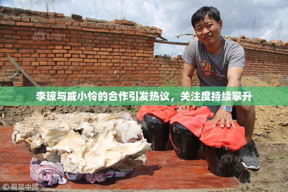 李琼与戚小怜的合作引发热议，关注度持续攀升