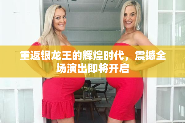 重返银龙王的辉煌时代，震撼全场演出即将开启