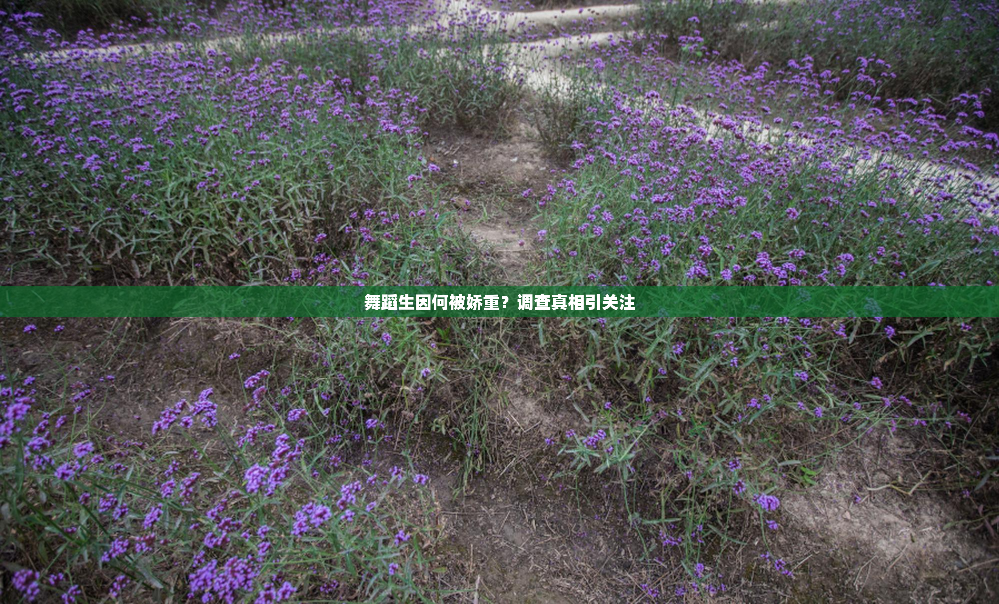 舞蹈生因何被娇重？调查真相引关注
