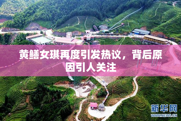 黄鳝女琪再度引发热议，背后原因引人关注