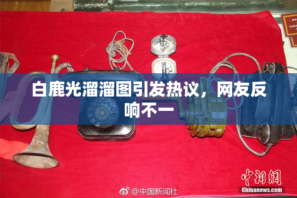 白鹿光溜溜图引发热议，网友反响不一