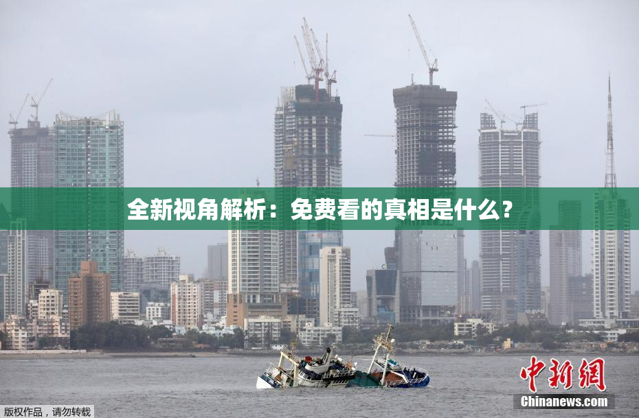全新视角解析：免费看的真相是什么？