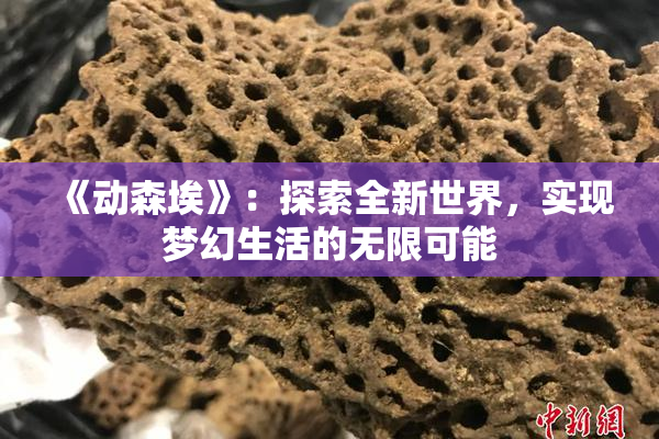 《动森埃》：探索全新世界，实现梦幻生活的无限可能
