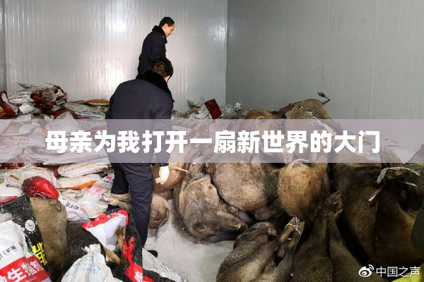 母亲为我打开一扇新世界的大门