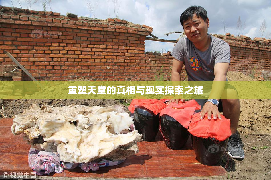 重塑天堂的真相与现实探索之旅