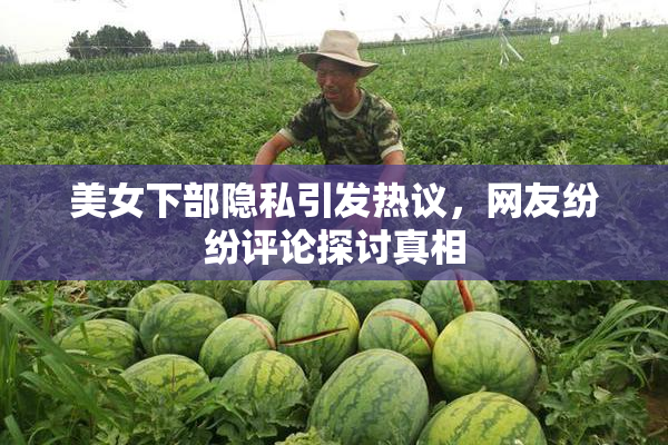 美女下部隐私引发热议，网友纷纷评论探讨真相