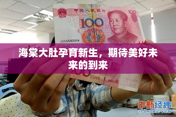 海棠大肚孕育新生，期待美好未来的到来