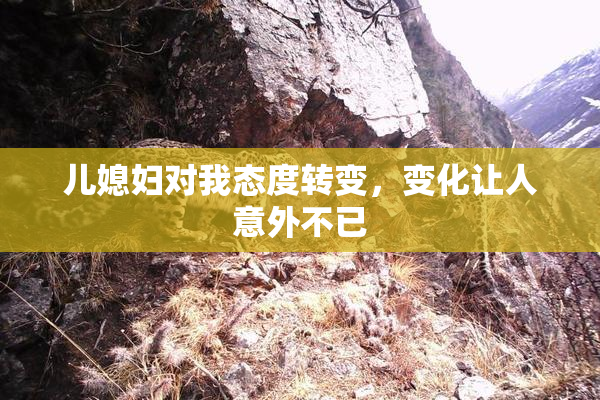 儿媳妇对我态度转变，变化让人意外不已