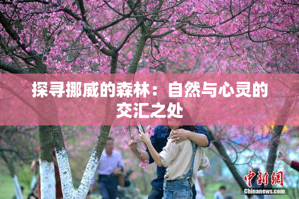 探寻挪威的森林：自然与心灵的交汇之处